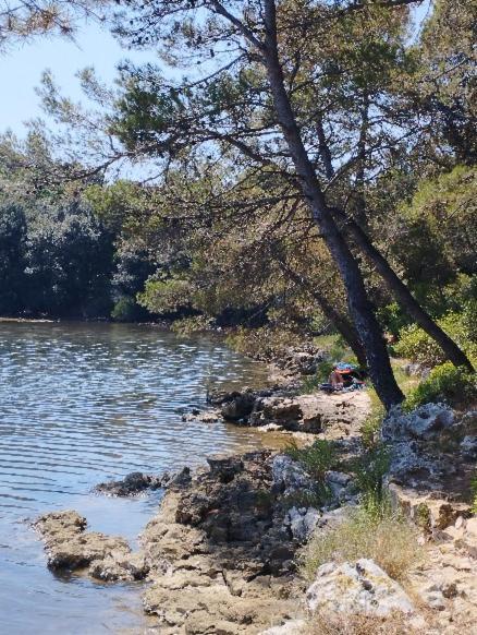 Mobile Homes Pine Sea Banjole Zewnętrze zdjęcie